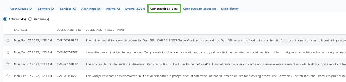 Vulnerabilities Tab on an Asset Details page